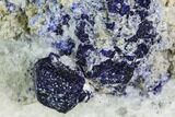 Lazurite and Pyrite in Marble Matrix - Afghanistan #111797-1